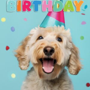 Kaart A5 happy birthday confetti