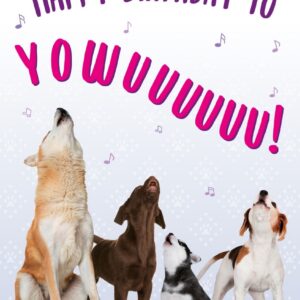 Kaart A5 happy birthday dogs