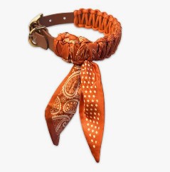 Nova collar squirrel S