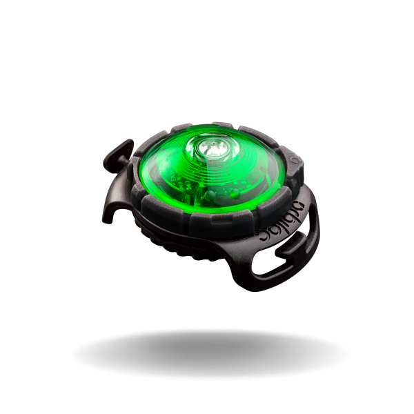 Orbiloc - Green