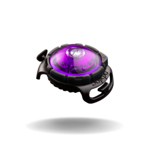 Orbiloc - Purple