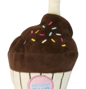 Fuzzyard birthday cupcake