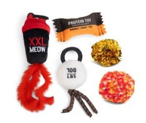 BZ pluche kattenspeelgoed workout multi 5st