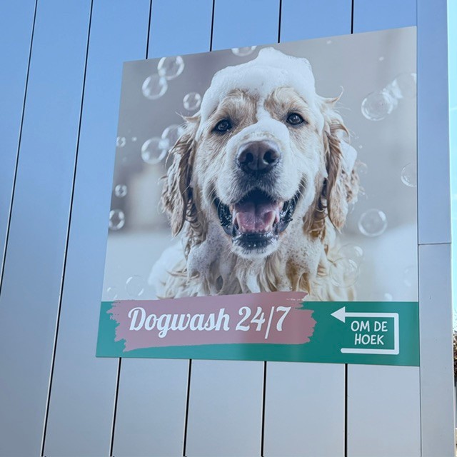 dogwash 4 (1)