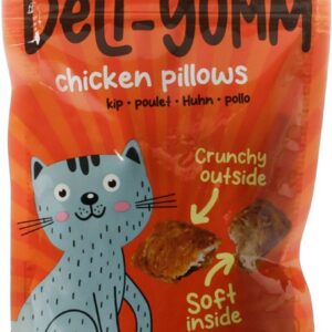 Pillows met kip 50g