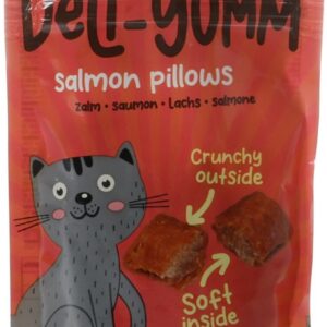 Pillows met zalm 50g